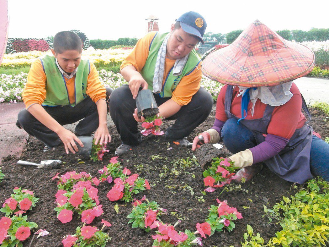 台中啟明學校安排智能障礙生到花市實習，經過7個多月培訓，學生對花卉種植、陳列都能...
