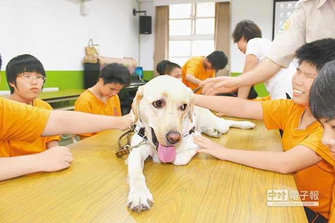 你是我的眼…盲生與導盲犬